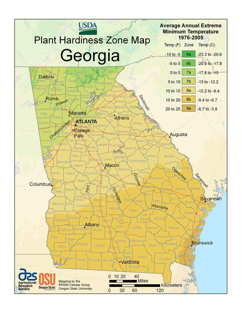 Georgia USDA Plant Hardiness Zone Map USDA: USDA 