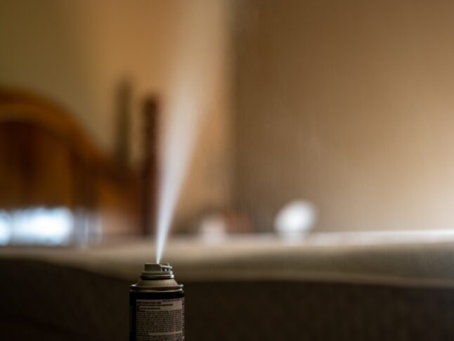 indoor insecticide fogger