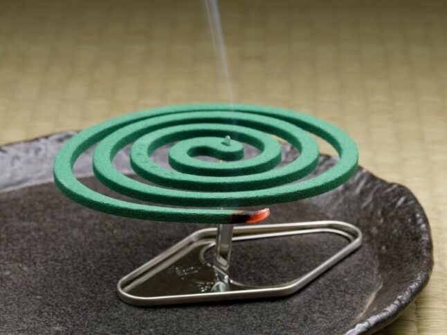 mosquito coil