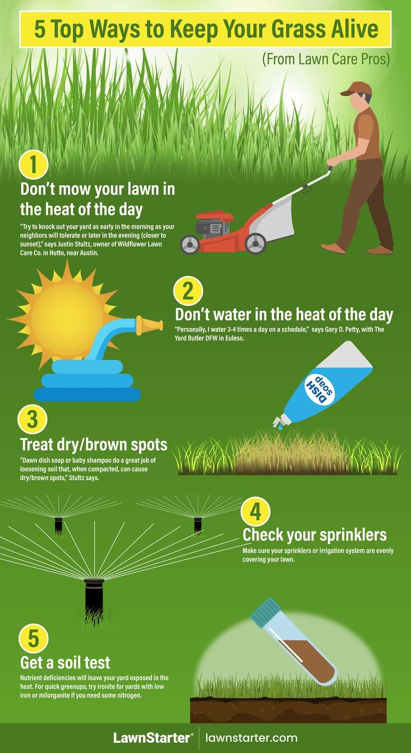 5 top ways to keep your grass alive graphic