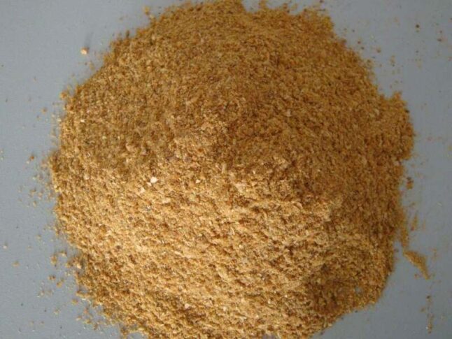 corn gluten meal fertilizer