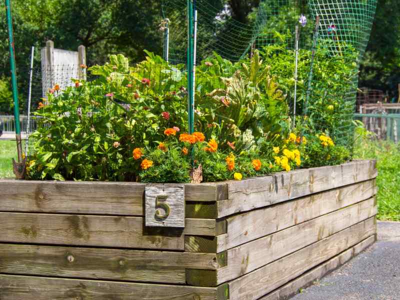 rp_Raised-bed-garden.jpg