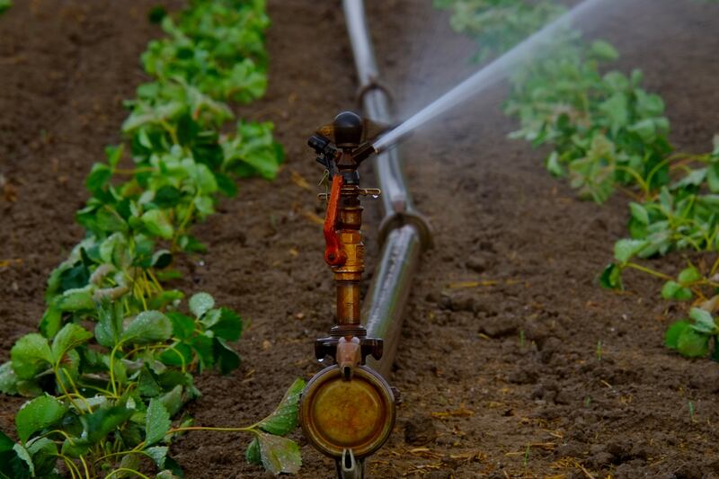 Irrigation system with pipe and sprinkler