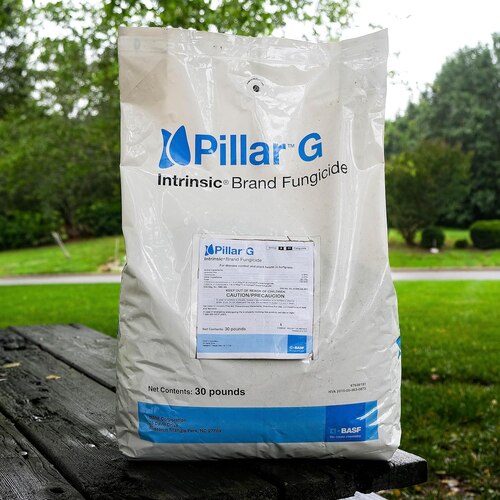 Pillar G Intrinsic