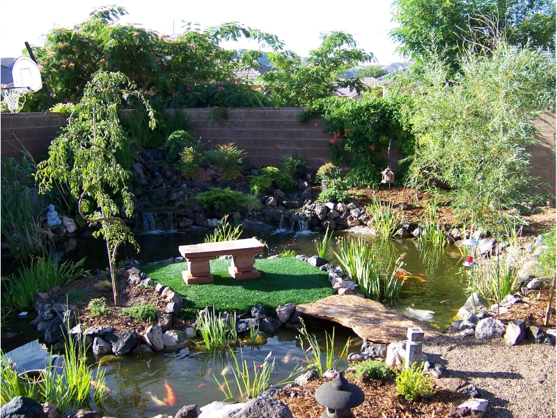 extravagant landscaped koi pond with small bench and trees