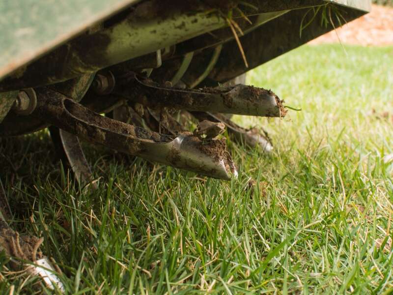 core aerator on a tall fescue lawn