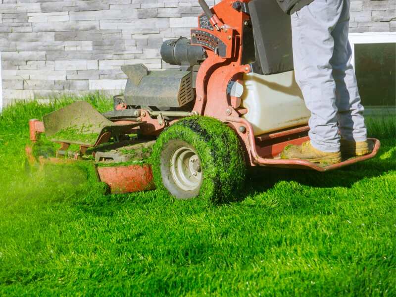 lawn care professional on a stand-behind gas lawn mower