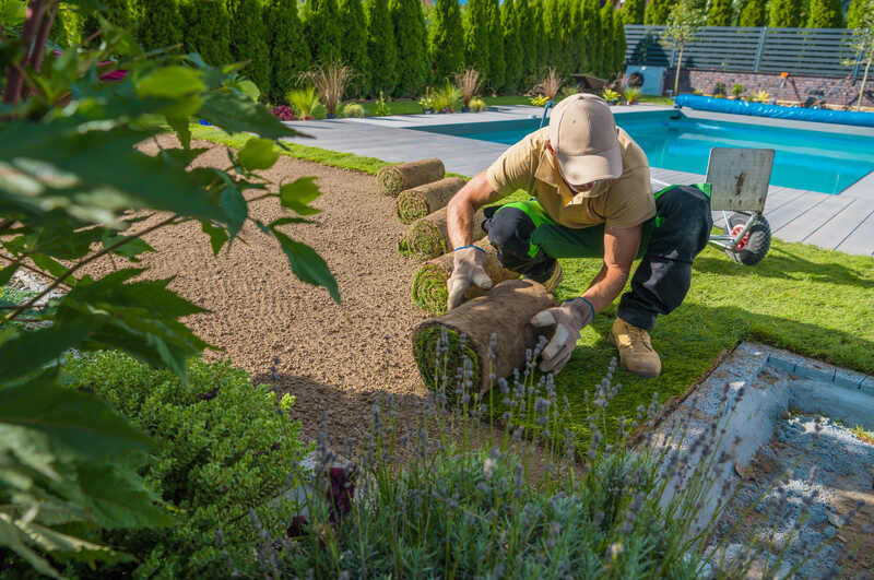 Gardener Rolling Out Turf Grass