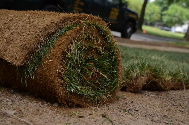 laying sod on the ground