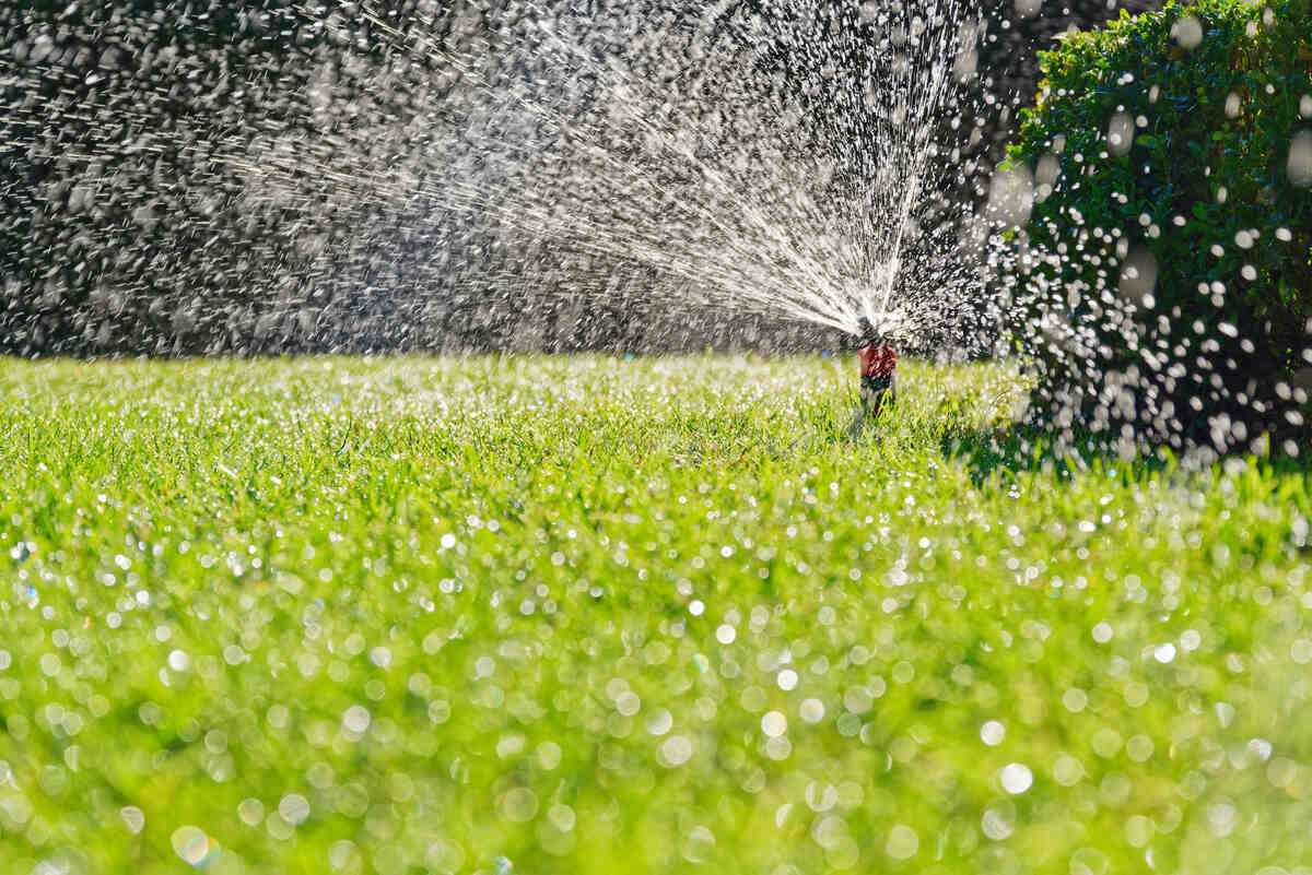 Turf irrigation by automatic pop-up sprinkler