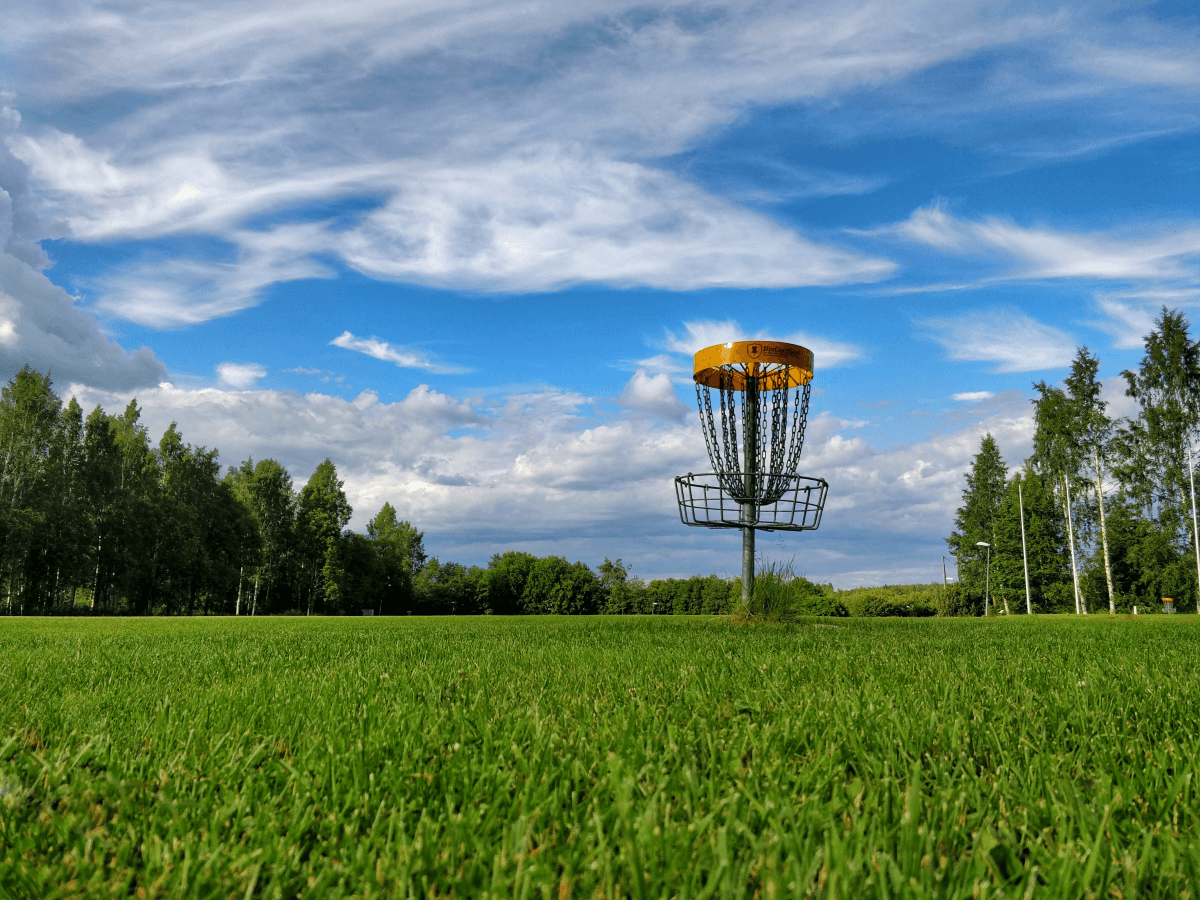 A disc golf basket in a field of grass surrounded by trees and blue sky