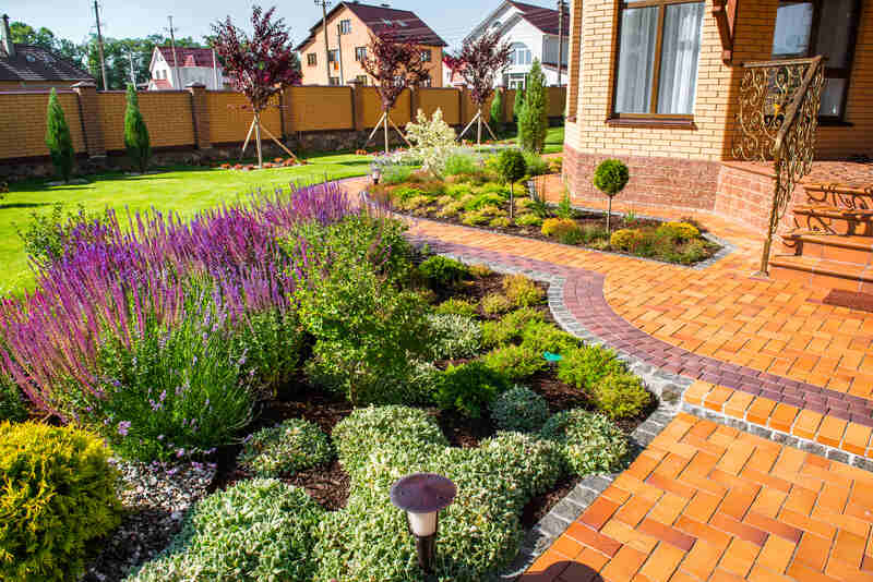 beautiful landscaping with beautiful plants and flowers