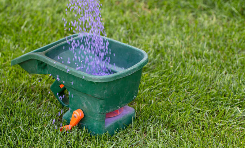 Manual fertilization of the lawn