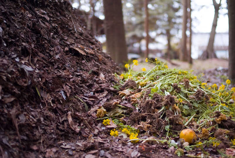 big compost pile