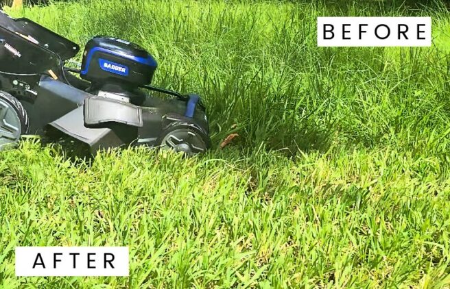 Before and after mowing with the Wild Badger Power 21-inch self-propelled mower