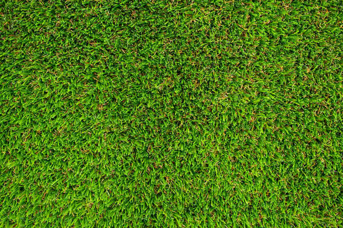 artificial grass