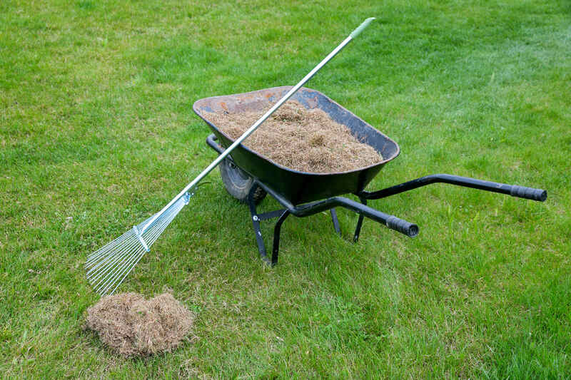 photo showing a wheelbarrow with thatch in it and rake in a lawn