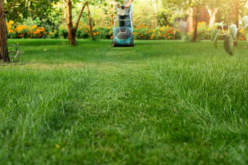 Man pushing lawn mower on a lawn