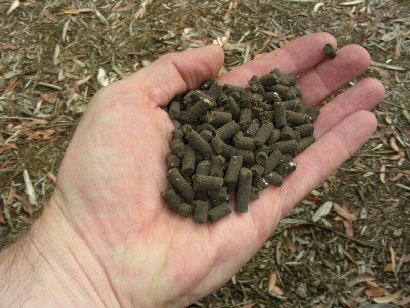 organic fertilizer