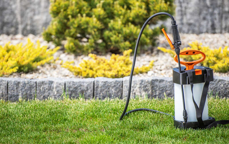 Backpack sprayer on a Lawn