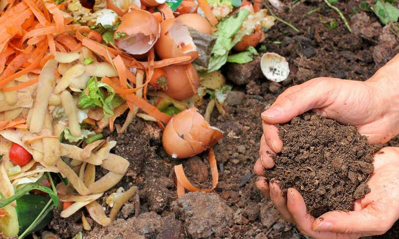 person holding soil in hands