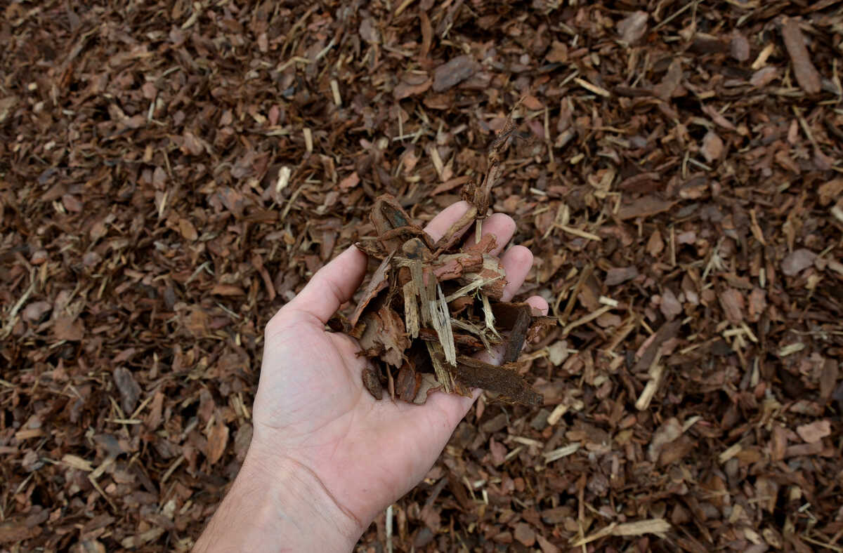 mulch bark from pieces of pine and spruce to prevent weeds