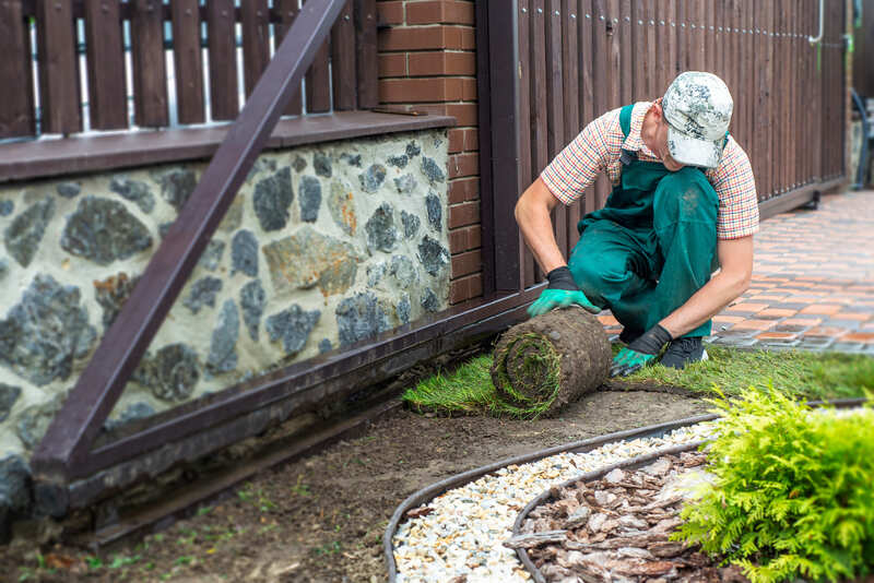 Man laying grass turf rolls for new garden lawn