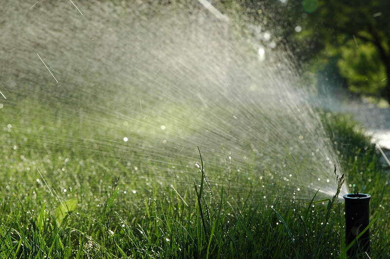 watering lawn with a sprinkler