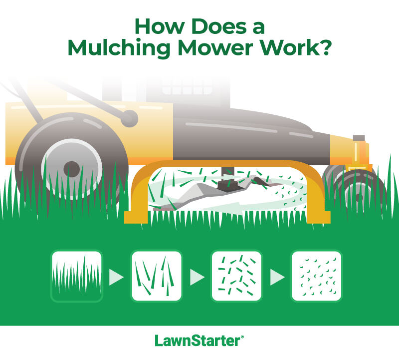 Infographic showing how does a mulching mower work