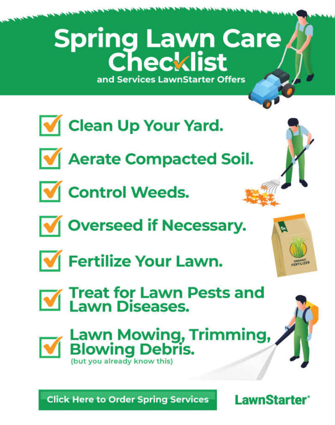 Infographic shwoing spring lawn care checklist.