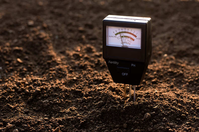 Soil pH meter and soil fertility meter for cultivation.