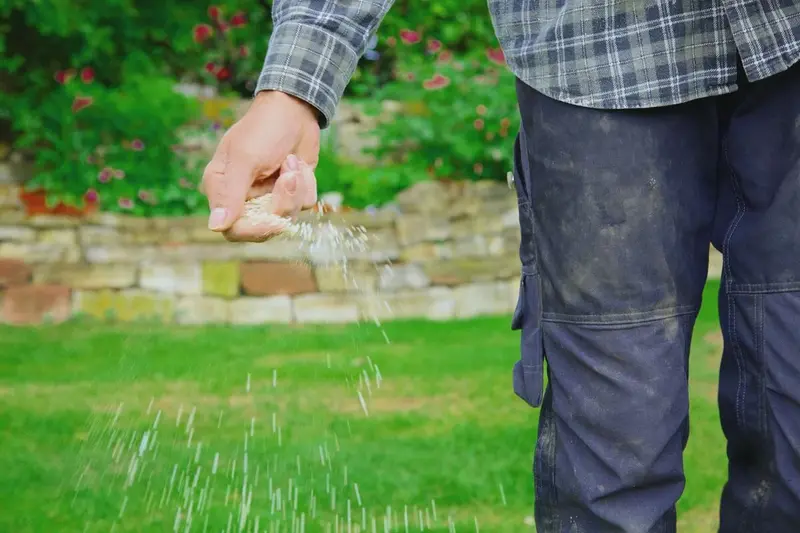 Organic lawn fertilizer in man's hand on garden background.