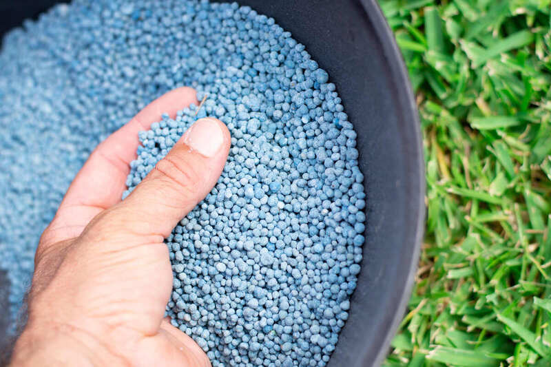 Blue chemical fertilizer in granulated form