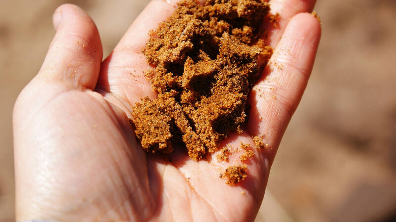 closeup image of sandy soil in a hand