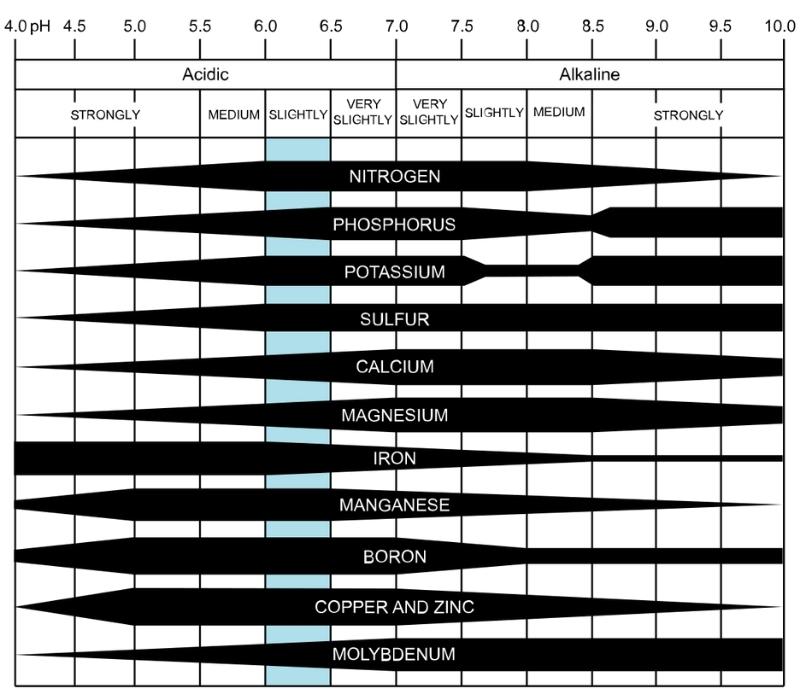 Graphic showing Soil pH effect on nutrient availability