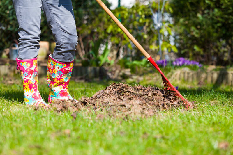 A person wearing colorful floral rain boots is raking a pile of dried leaves on a grassy lawn, indicating garden cleanup or spring lawn maintenance.