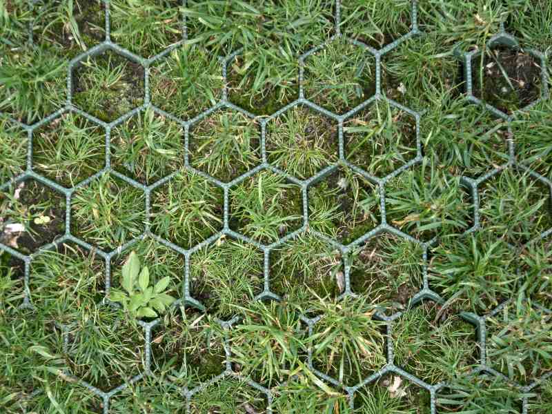 Overhead view of temporary grass protection using concrete grid  and plastic hexagonal ground reinforcement tiles, allowing grass to grow through while supporting foot or light vehicle traffic.