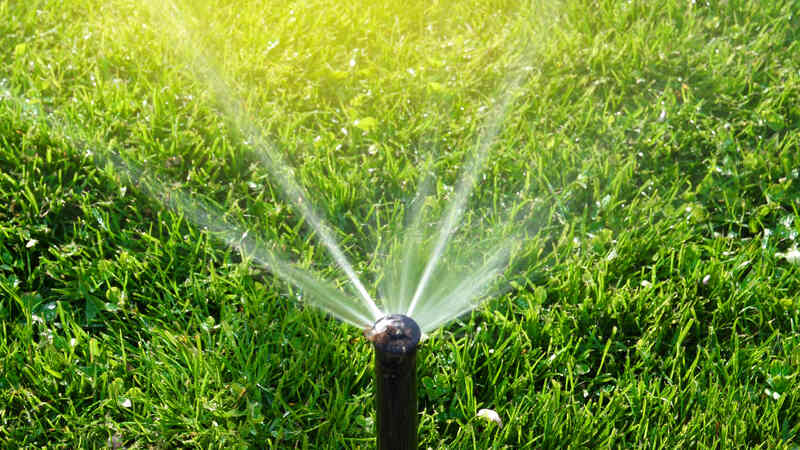 an automatic sprinkler watering lawn early in the morning with sunlight flare
